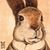 Mark Hansen's profile image