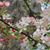 Joan Capaiu Greene's profile image