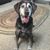 Carol Johnson's profile image