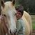 Donna Bolton's profile image