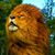 Marito Matyaz Matyaz's profile image