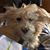 Philip Hilton's profile image