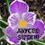 Michele Artman's profile image