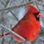 James Monteleone's profile image