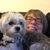 Elizabeth Keest Sedrel's profile image