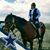 Amy Purvis's profile image