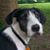 Joann Waters Polzin's profile image