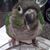 Richard H Baker Jr's profile image