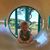 Kim Negron's profile image