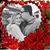 Gracie Bingham Swindell's profile image