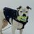Lisa Andrews Lyston's profile image