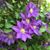 Wanda Perlinski's profile image