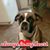 Sue Martinez's profile image