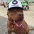 Jhonny Bull's profile image