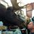 Craig Sherratt's profile image