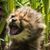 Trisha Wisebaker's profile image