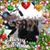 Lois Tarter's profile image