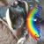 Megan Patrick O'Brien's profile image