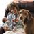 Julie Eicher Cook's profile image