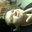 Chris Vogel's profile image