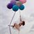 Leann Lafko Spofford's profile image