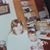 Ann Scott Laidig Quaerna's profile image