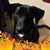 Jennifer Helen Totherow's profile image