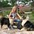 Mary Ann Vestal Ferguson's profile image
