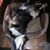 CindyKay Webster's profile image