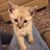 Judith Pettiss's profile image