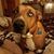 Lucy Reed Ewing's profile image