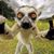 Deborah Ward's profile image