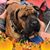 Chris Trina Zimmerman Gimroth's profile image