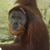 Kelli Yorton Hobgood's profile image