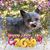 Debbie Cagle's profile image