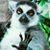 Bill Shelin's profile image