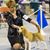 Alyce Gilmore's profile image