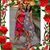 Brie Anwar's profile image