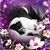 Terry Young's profile image