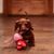 Donna Lew's profile image