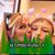 Amy Poer's profile image