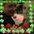 Denise Gaimari's profile image