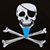 Ross Karbarski's profile image