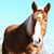 Jan Youngblood's profile image