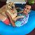 Dave Lowe's profile image