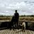 Trevor Paterson's profile image