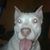 Wes Burkley's profile image