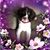 Leisa Cangialosi's profile image