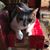 Paulette Dorris's profile image