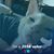 Judy Lackner's profile image